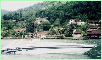Scarab 38