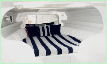 Scarab 38